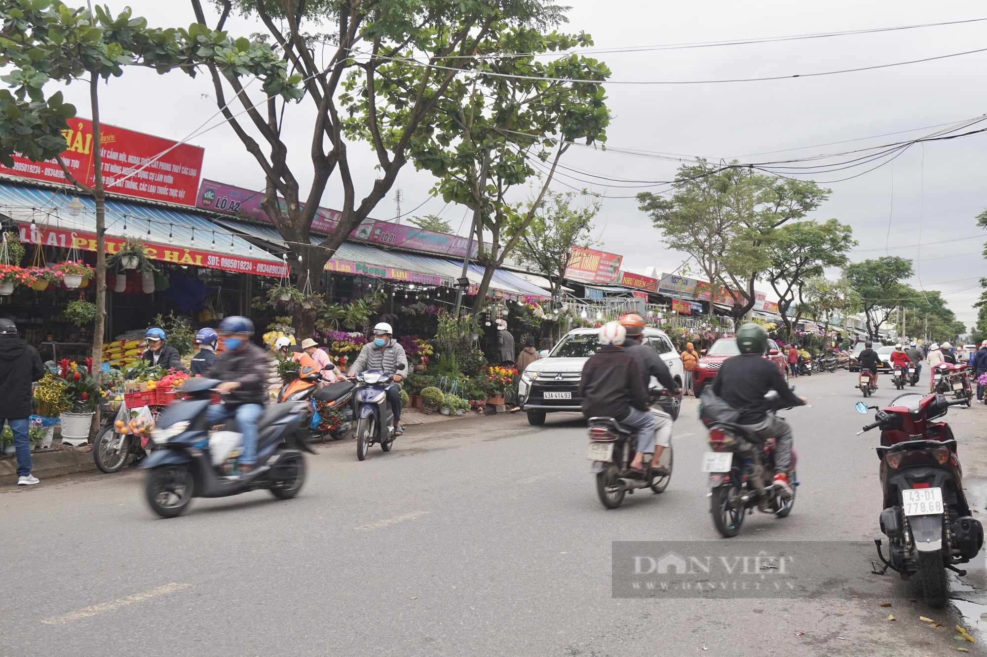 Đà Nẵng: Hoa treo hút hàng, sắc xuân ngập tràn trên các tuyến phố chuyên doanh - Ảnh 1.