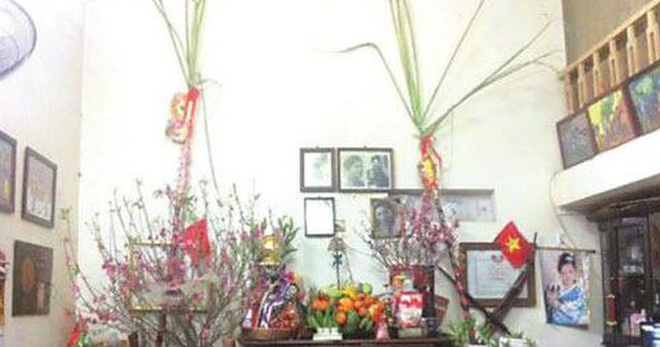 Cây mía trên ban thờ gia tiên ngày Tết và ý nghĩa trong phong tục thờ cúng của người Việt