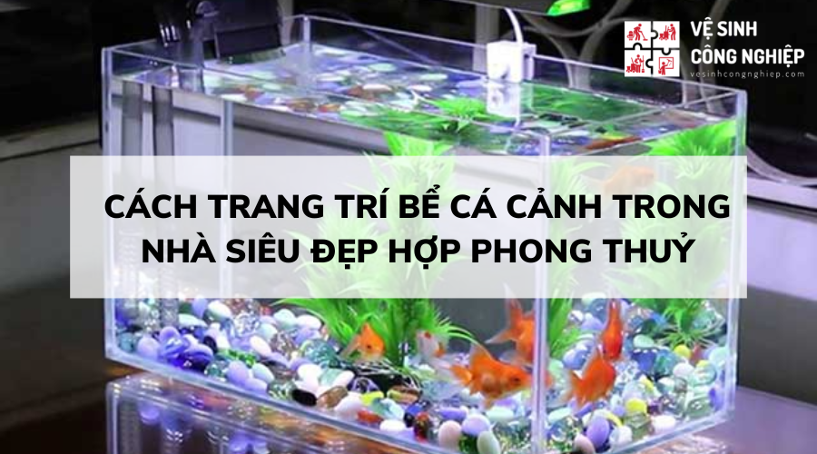 Cách trang trí bể cá cảnh trong nhà siêu đẹp hợp phong thuỷ