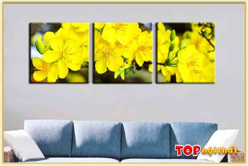 Hình ảnh Bức tranh hoa mai vàng 3 tấm treo tường hiện đại 1014