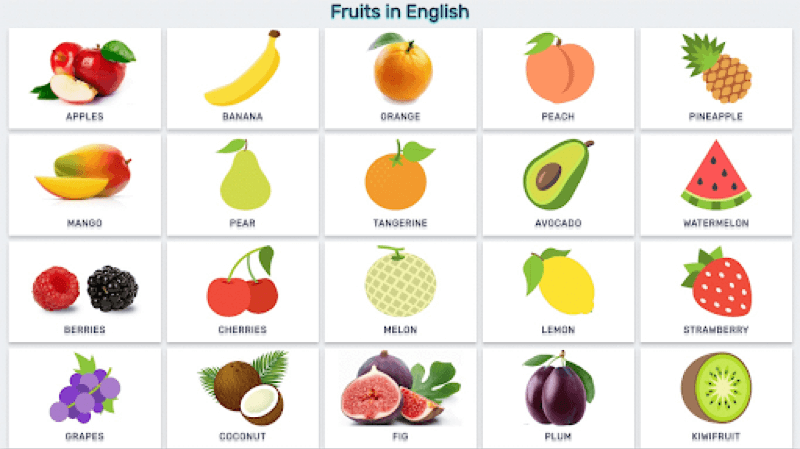 Học tiếng Anh lớp 3 - trái cây