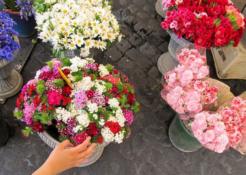 Bạn cần phải quan sát kỹ về màu sắc, đài hoa và gốc để chọn ra những bông hoa đẹp nhất cho ngày Tết