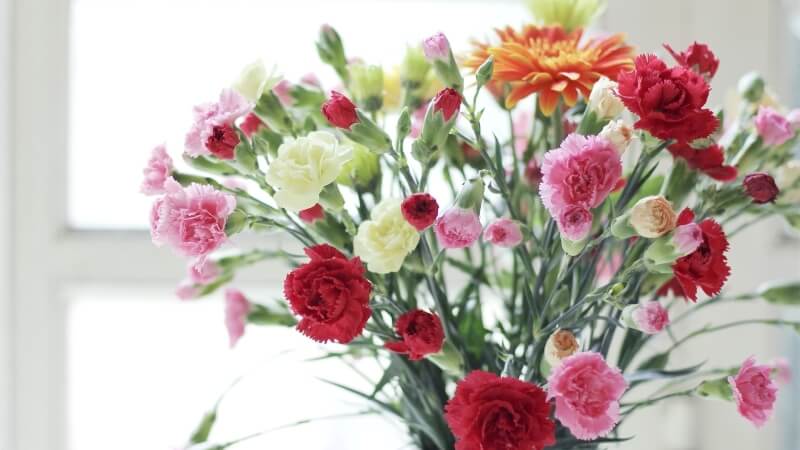 Mẫu cắm hoa cẩm chướng mix màu đơn giản