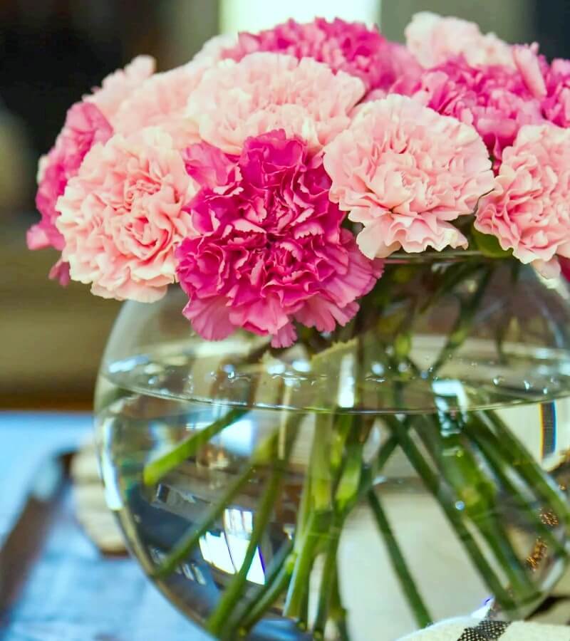 Mẫu cắm hoa cẩm chướng ngày Tết với nước
