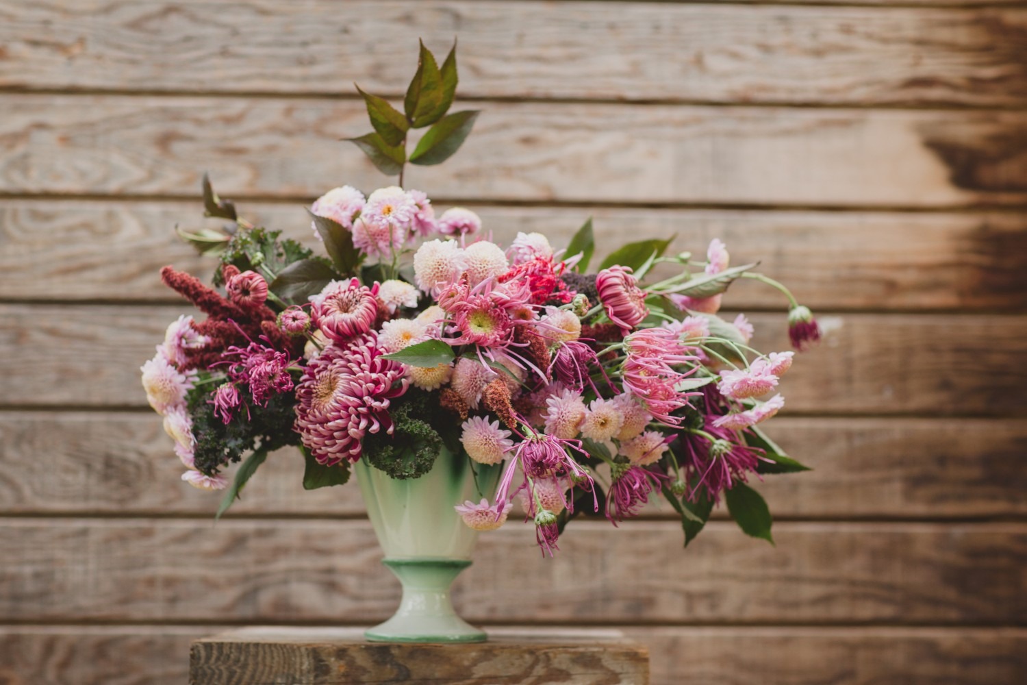 Cách cắm hoa cúc ngày tết đẹp, đơn giản nhất với nhiều hình dáng - Trường THCS Võ Thị Sáu