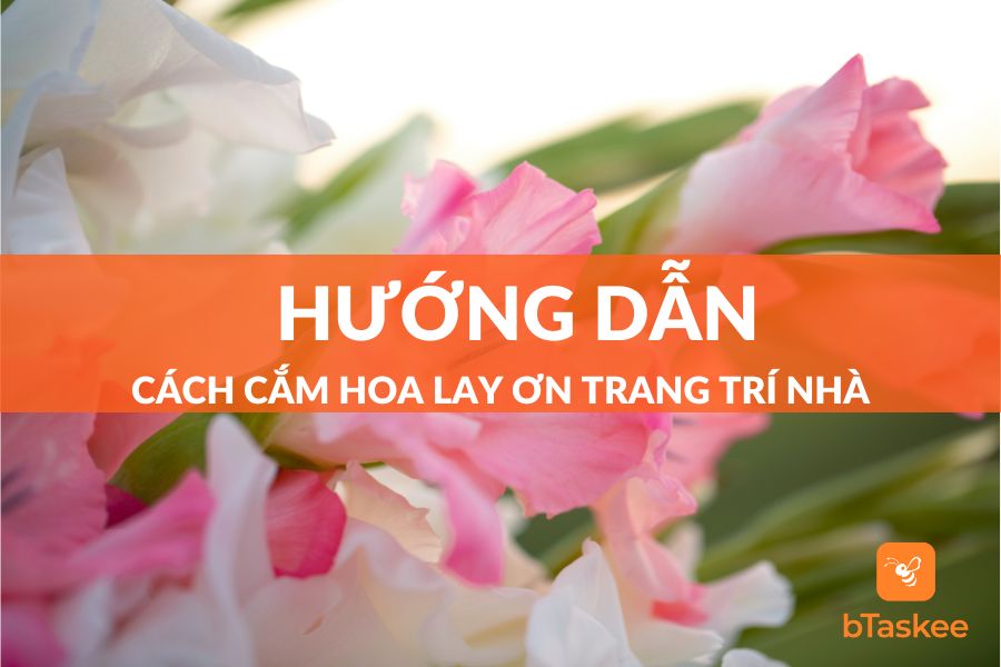 Cách Cắm Hoa Lay Ơn Đơn Giản Trang Trí Nhà Cực Đẹp – bTaskee