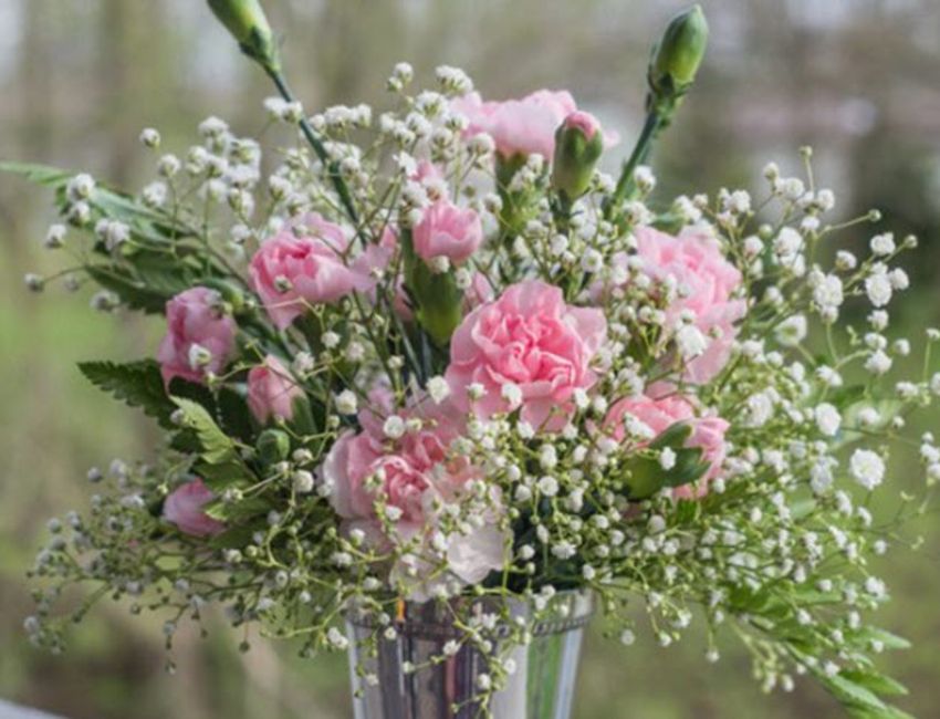 Cách cắm hoa phăng ngày tết trang nhã cho nhà thêm xinh