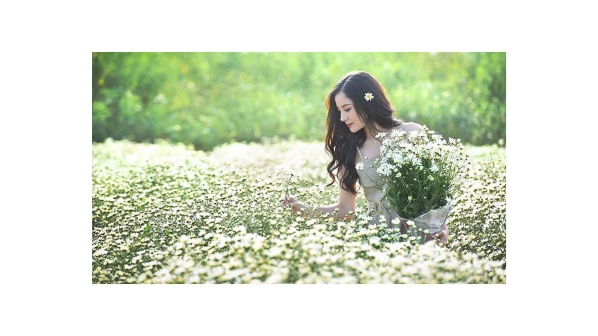 Cách chụp ảnh với vườn hoa trắng