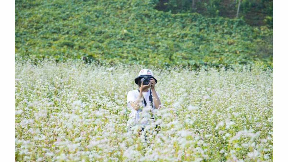 Cách chụp ảnh giữa rừng hoa đơn giản