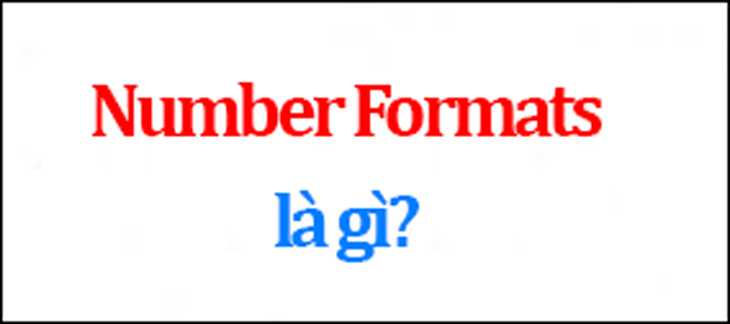 Định dạng số (Number Formats) là gì?