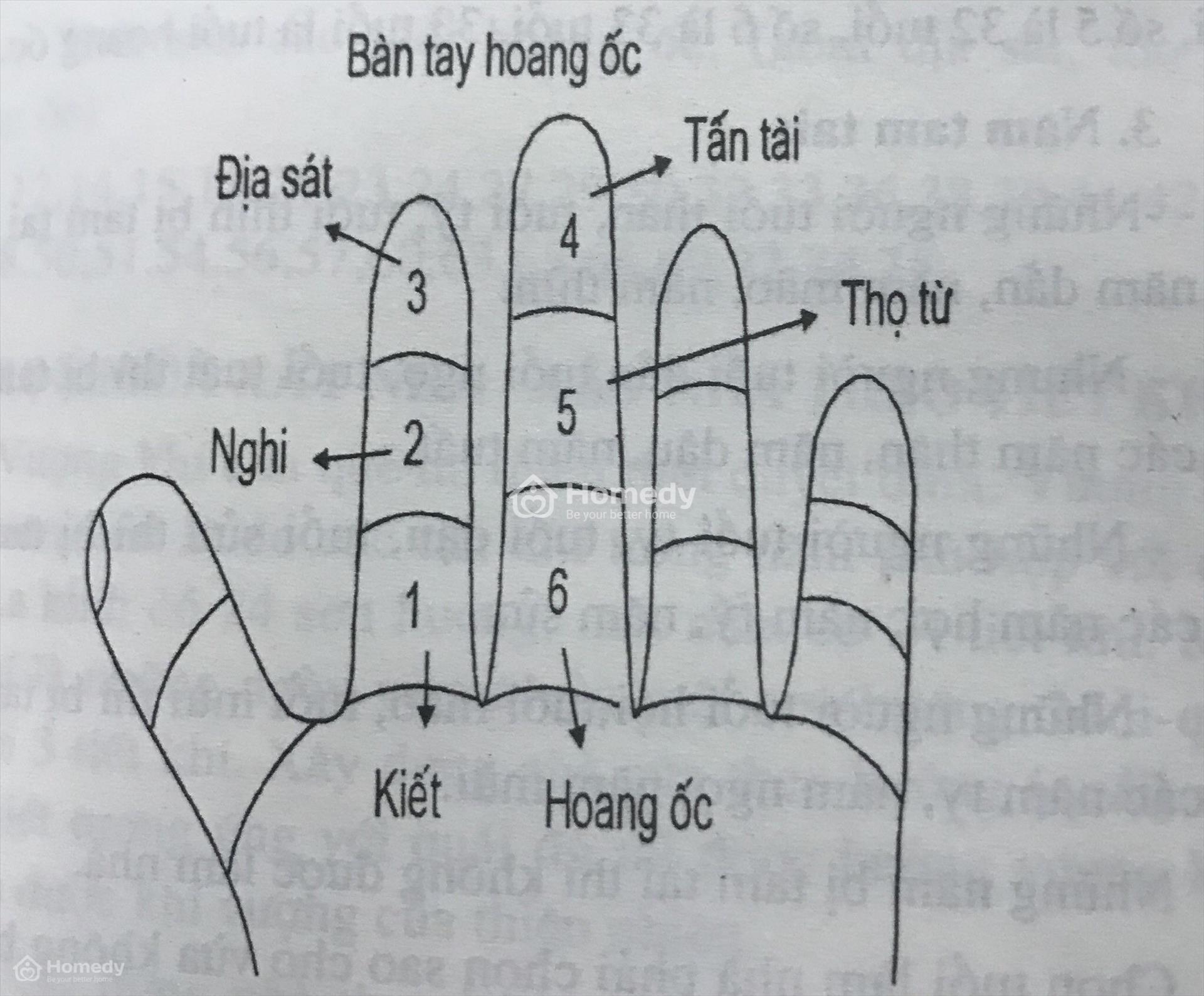 cach-tinh-hoang-oc