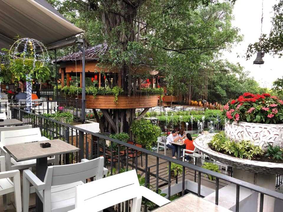 Top 15 quán cafe quận Gò Vấp đẹp, giá rẻ có view sống ảo ở Sài Gòn – TP. HCM