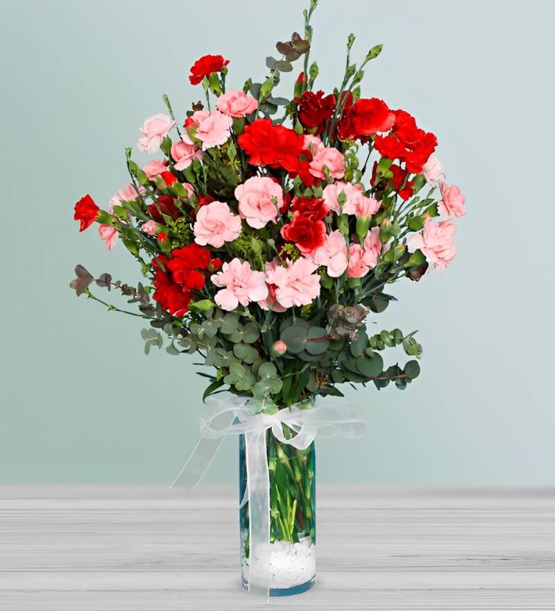 Cách giữ cho hoa cẩm chướng ngày Tết được tươi lâu, bền màu