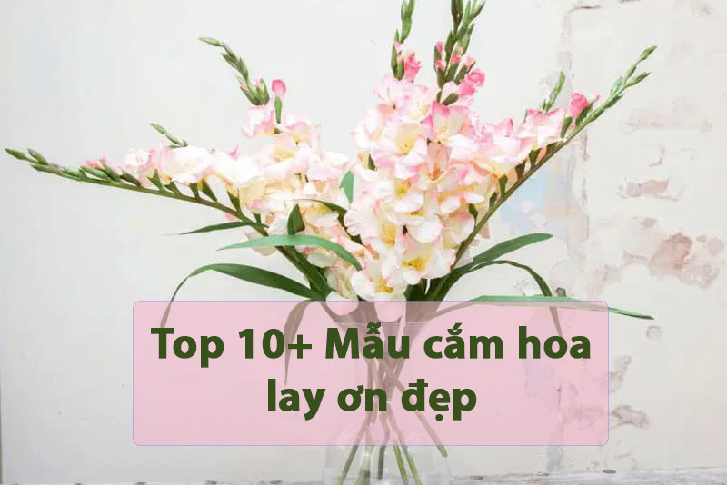Top 10+ mẫu cắm hoa lay ơn đẹp trang trí cho dịp Tết