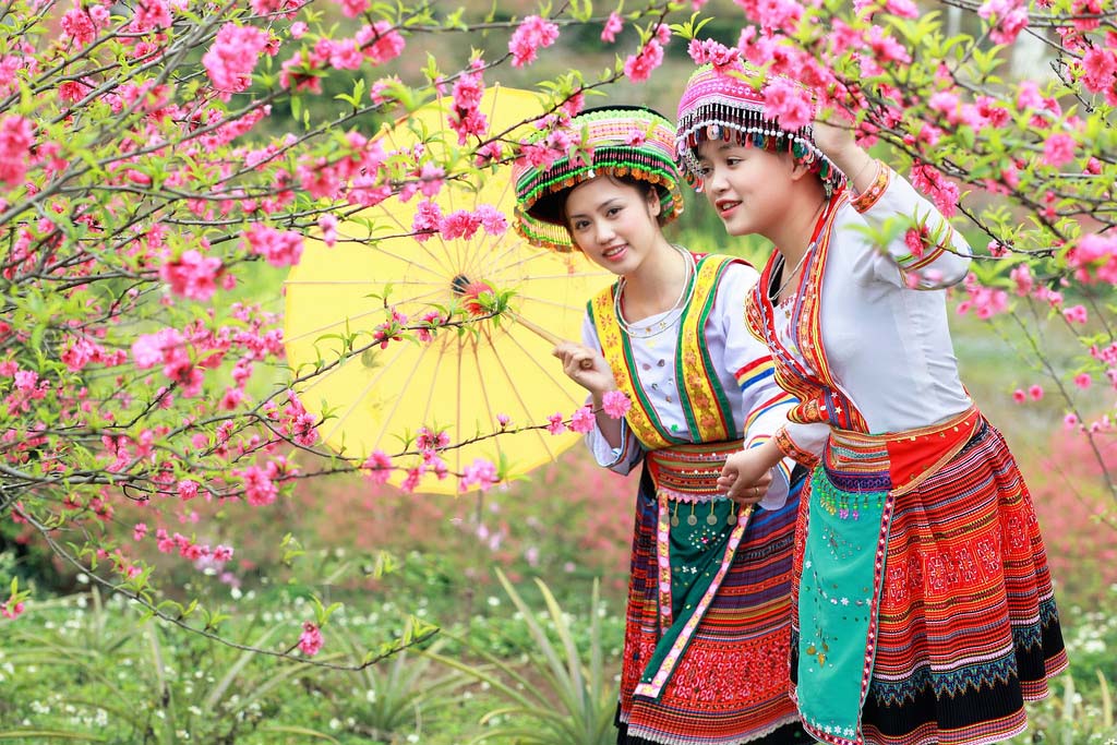 Cận cảnh hoa đào Tết ở Việt Nam