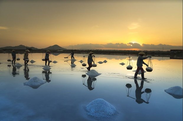 Ngo ngang voi ve dep trang le cua nhung canh dong muoi o Ninh Thuan hinh anh 2