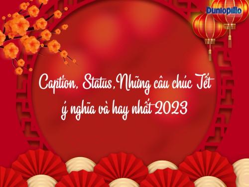 Caption, Status, Những câu chúc Tết ý nghĩa và hay nhất 2023