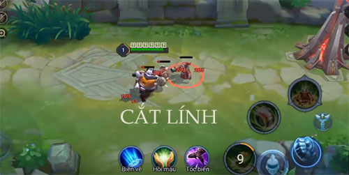 cat-linh