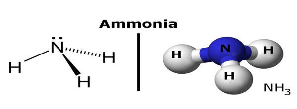 Amoniac NH3 là gì? Công thức, tính chất, ứng dụng của amoniac