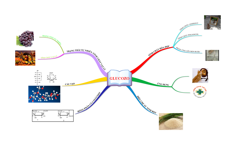 CẤU TẠO, TÍNH CHẤT, ỨNG DỤNG CỦA GLUCOZƠ VÀ FRUCTOZƠ