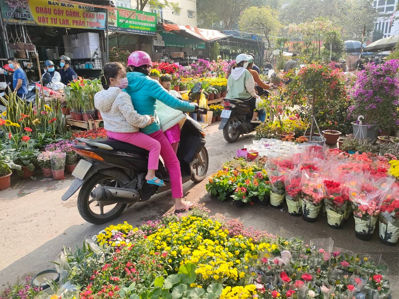 Chủ cửa hàng hoa cây cảnh tiết lộ 3 loại hoa cúc &quot;ngon- bổ- rẻ&quot; được mua nhiều nhất dịp Tết Nguyên đán 2022 - Ảnh 2.