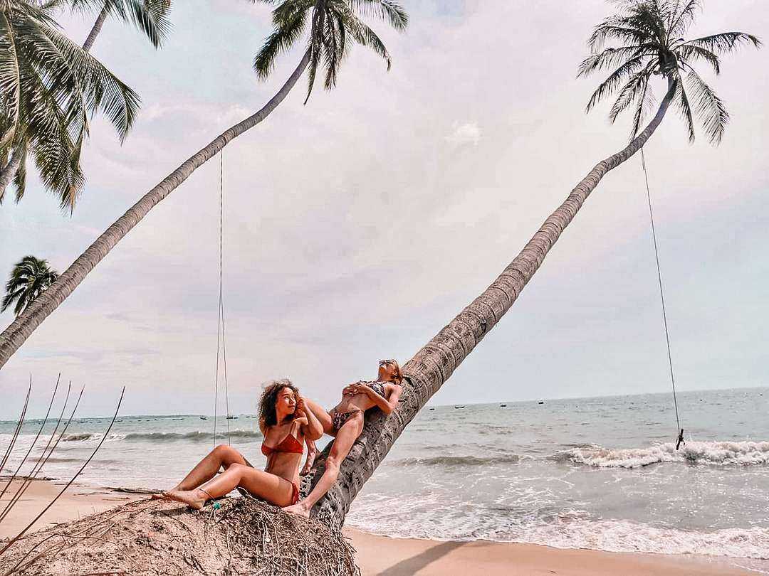 cây dừa nghiêng ra biển Mũi Né