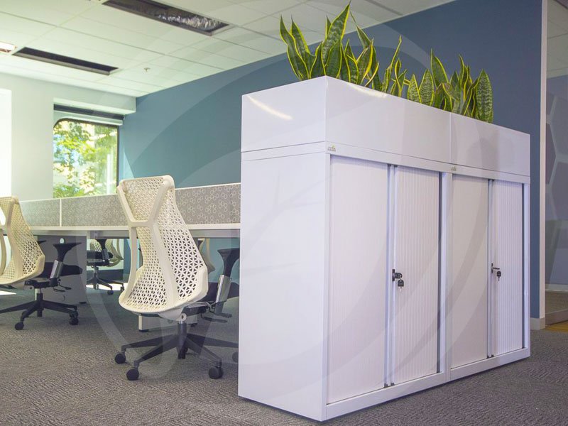 Giới thiệu 5 loại cây cảnh trang trí nội thất văn phòng đẹp nhất