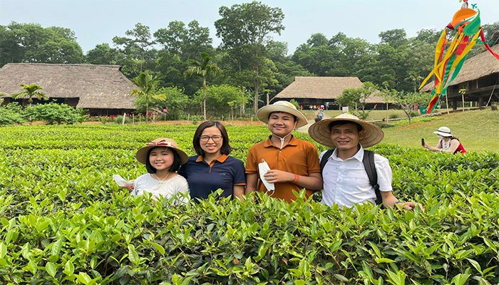 Đồi chè nhà Mường