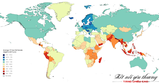 Bảng thống kê chiều cao của nữ giới ở độ tuổi 19
