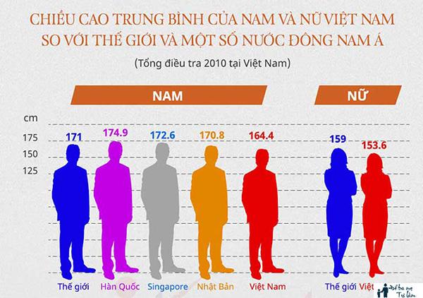 Chiều cao trung bình của các quốc gia trên thế giới