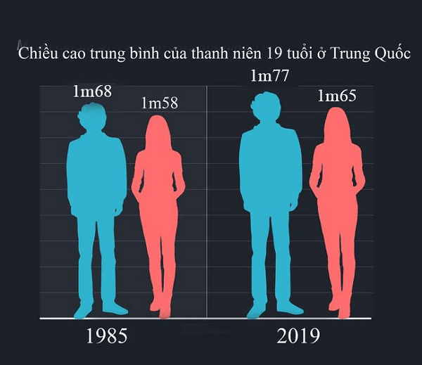 chiều cao trung bình của người trung quốc