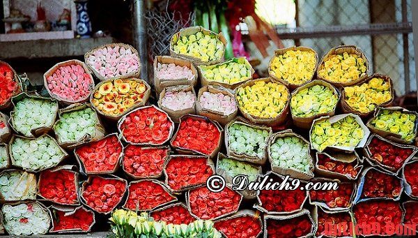 Chợ hoa Hồ Thị Kỷ - nổi tiếng nhất Sài Gòn ngày tết