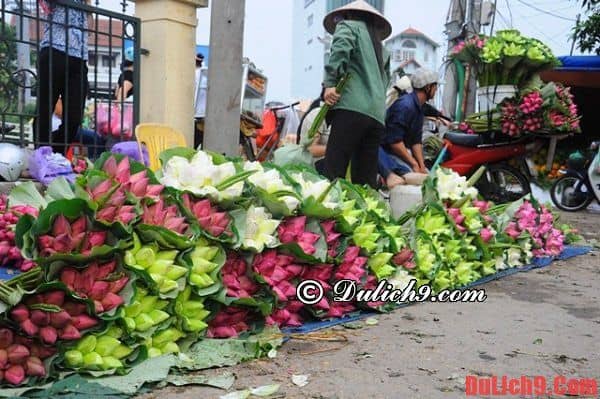 Chợ hoa Đầm Sen đẹp và giá rẻ. Những chợ hoa ngày tết nổi tiếng nhất ở Sài Gòn