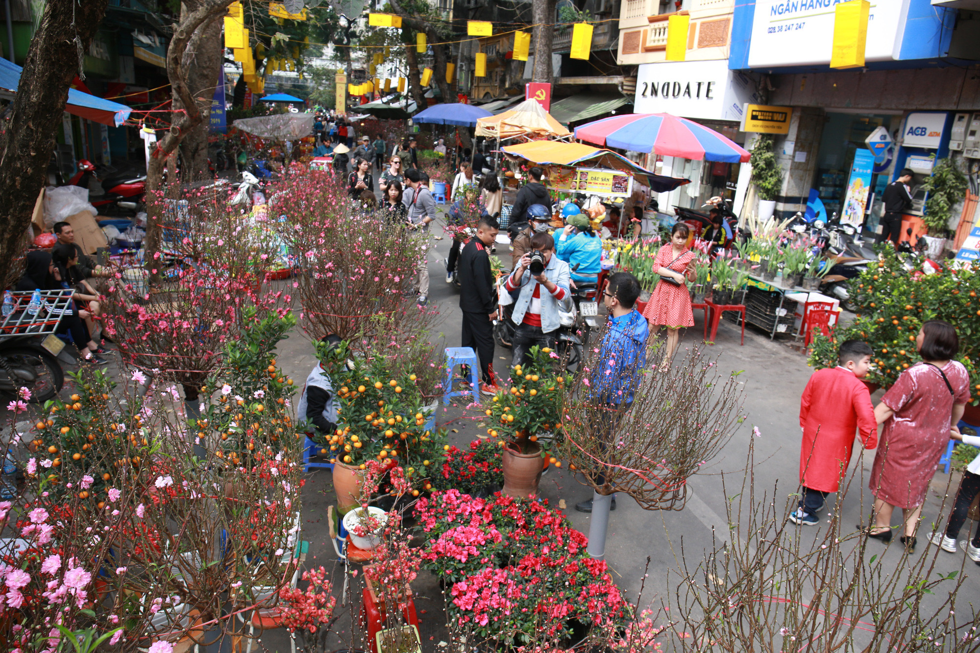 Mua hoa Tết