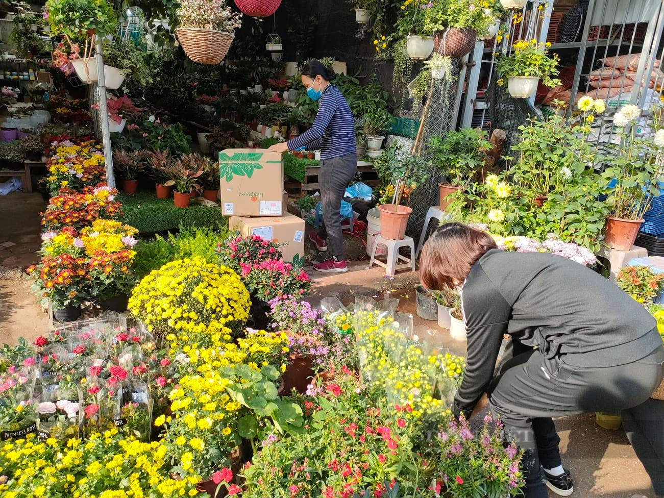 Chủ cửa hàng hoa cây cảnh tiết lộ 3 loại hoa cúc &quot;ngon- bổ- rẻ&quot; được mua nhiều nhất dịp Tết Nguyên đán 2022 - Ảnh 1.