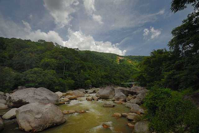 Không gian núi rừng xanh ngắt ở vườn Chư Yang Sin (ẢNH ST)