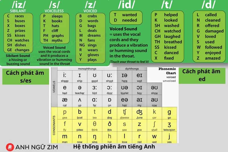 chuẩn hoá phát âm tiếng anh