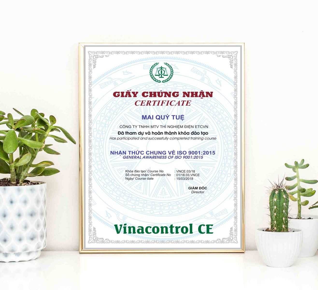 Chứng chỉ đào tạo nhận thức ISO 9001