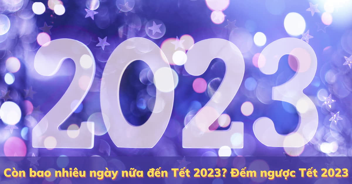 Còn bao nhiêu ngày nữa đến tết nguyên đán 2023- Cùng đếm ngược nhé!