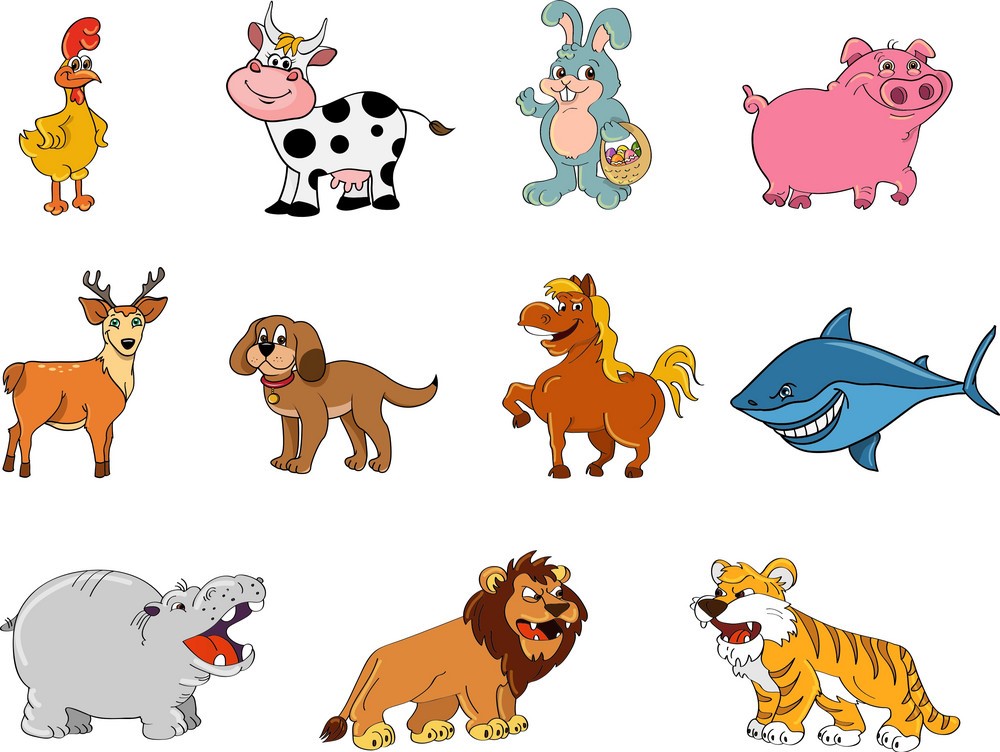 Học tiếng Anh qua tên các loại động vật có phiên âm