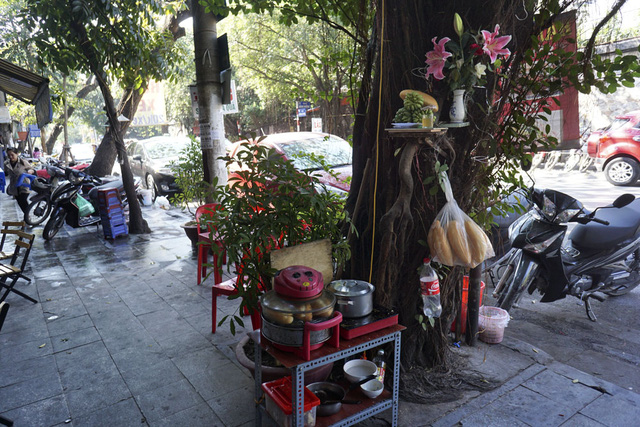 cung than tren than cay co thu o ha noi