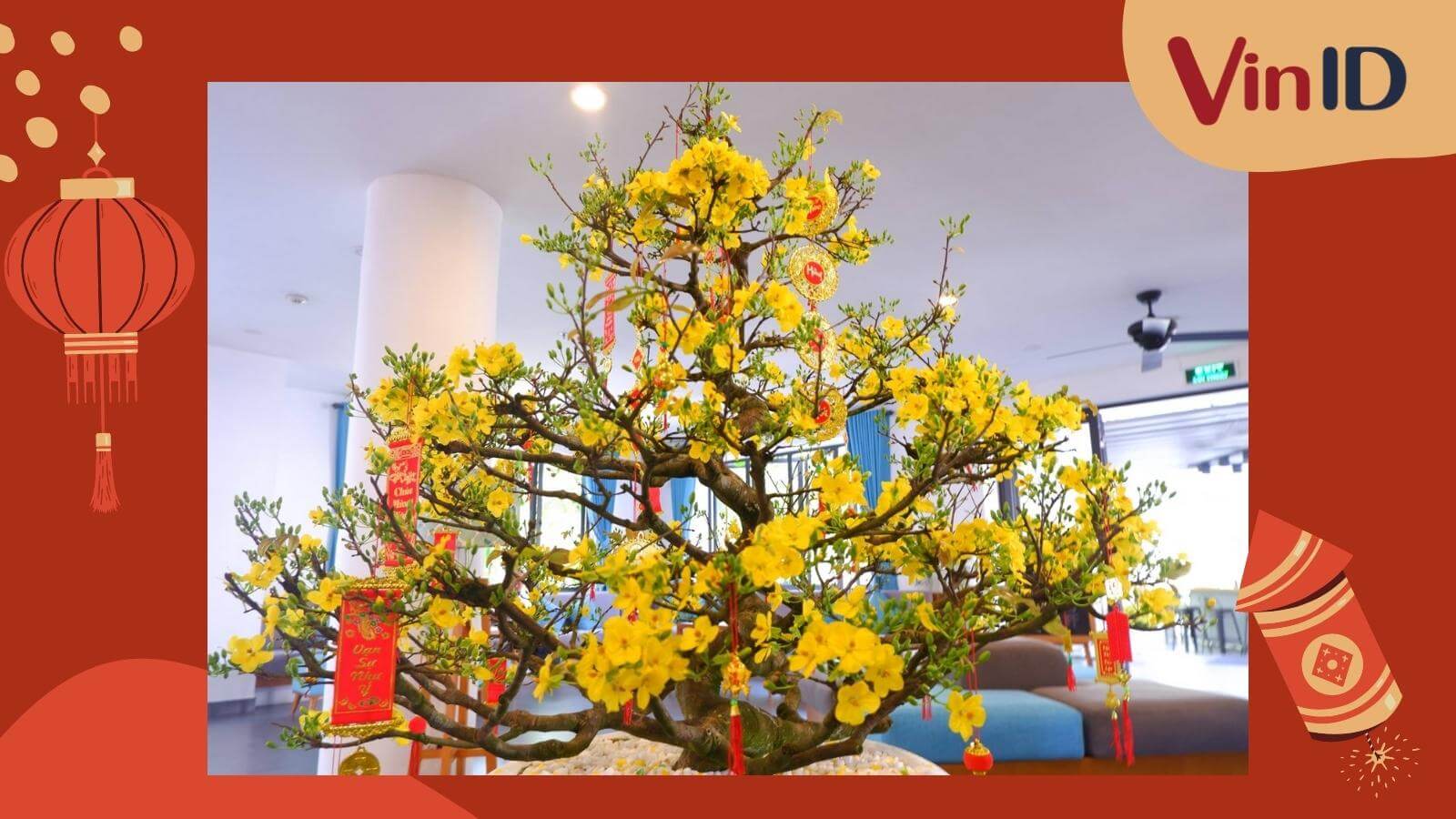 7 Cách trang trí cây mai ngày Tết cực ấn tượng, sắc vàng rực rỡ, rước hên vào nhà