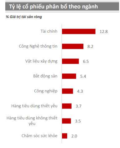 Danh mục đầu tư phân bổ theo ngành của quỹ VIBF