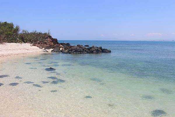 Nước biển trong xanh của đảo Hòn Chùa