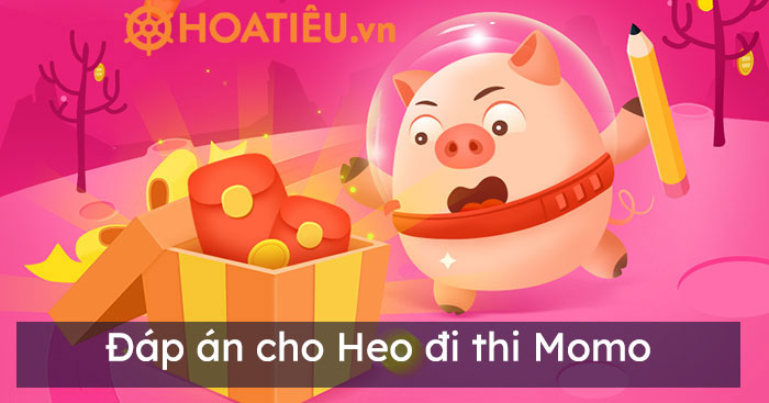 Đáp án cho Heo đi thi hôm nay - Đáp án trường học Heo đất