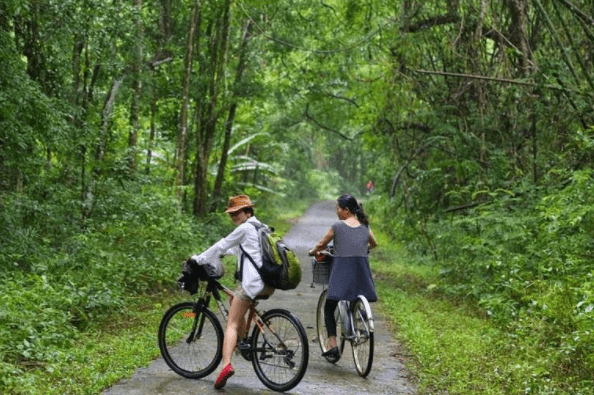 Đạp xe ngắm cảnh trong rừng Nam Cát Tiên