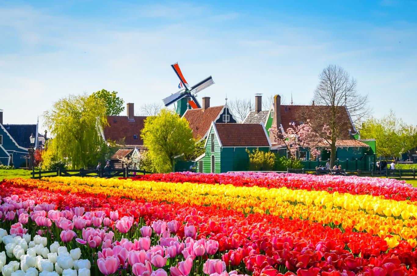 Tìm hiểu về đất nước Hà Lan - Thiên đường đáng sống nhất Châu Âu - Ego Express
