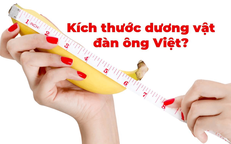 Độ dài trung bình cậu nhỏ Việt Nam và các nước 2022 chuẩn nhất