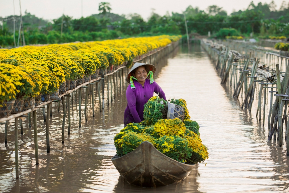 Du lịch miền Tây dịp Tết nên đi đâu