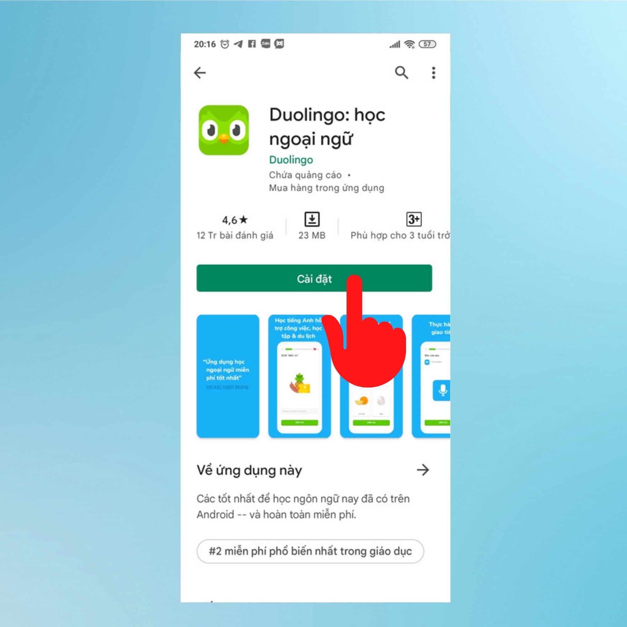 Hướng dẫn tải Duolingo trên điện thoại 